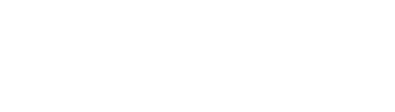 White CEI logo